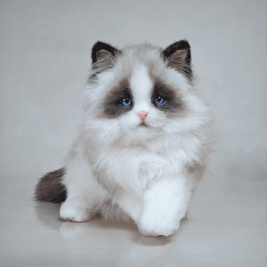 Lifelike Custom Felted Pet Figurine – Full-Body Memorial Keepsake