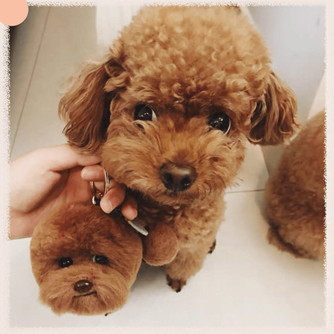 Custom Wool Felt Pet Car Charm – Personalized Pet Head Keychain