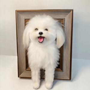 Custom Wool Felt Pet Portrait with Paws – Premium Framed 3D Sculpture
