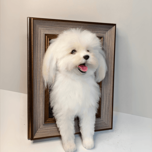 Custom Wool Felt Pet Portrait with Paws – Premium Framed 3D Sculpture
